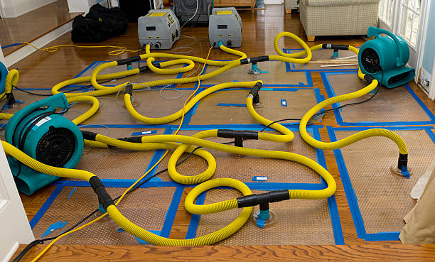 Professional Storm Water Damage Restoration technician working in McChord AFB, WA