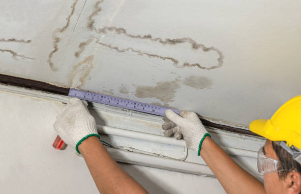 Affordable Water Damage Repair solutions in McChord AFB, WA